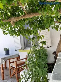 Lemon Garden 2 - Image 3