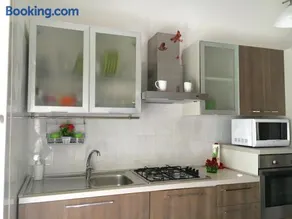 Tulipano - Image 3