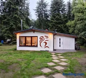 Ferienhaus Waldlicht 3 - Image 1