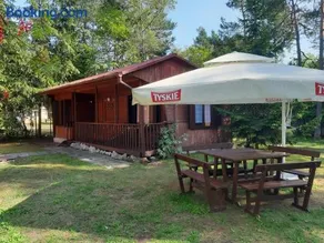 Forest Villa- domki - Image 1
