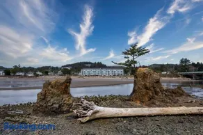 Waters Edge 402 - Image 2