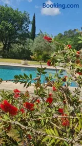Les lauriers fleuris - Image 2