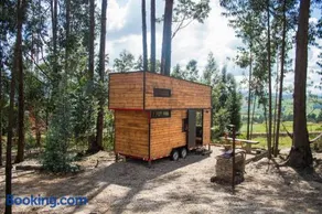 El Bosque de Paipa - Image 3