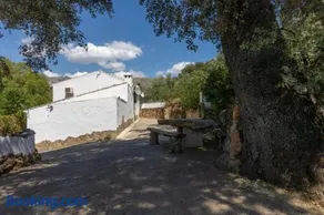 Cortijo el Chaparro - Image 3