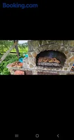 Cabana ciocanu - Image 2