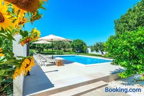 Villa Kutija with heated pool - Image 4