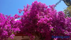 B&B Vacanza Facile - Image 4