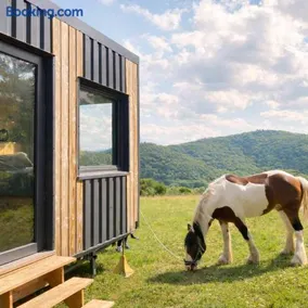 Homnest - Bosquet des Domes n2 - Puys a cheval - Image 1