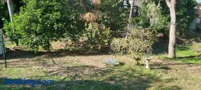 Beach Retreat - Image 3