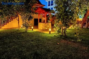 Golden Tree - Image 2
