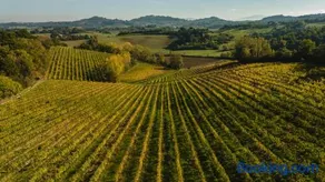 Agriturismo San Gregorio - Image 2