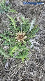 Un balcon entre Causses et Rougiers - Image 3