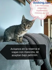 Casa Guelito - Image 2