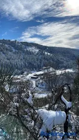Piazzetta Del Forno - Monolocale - Image 2