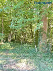 La tente Chemin d'étoiles - Image 2