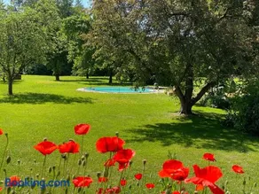 Apartment mit romantischem Garten an der Marchenstraße! - Image 3