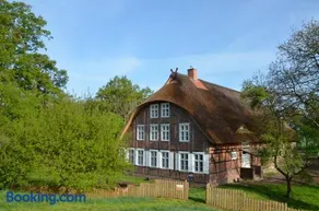 Deichkind - Reetdachhaus direkt am Elbdeich - Image 1
