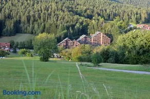 Erholung pur bieten Schwarzwaldoase und Murgidylle - Image 1