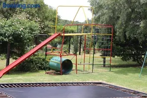 Olive Tree Farm - Image 3