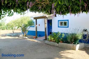 Monte da contenda - Image 1