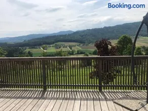 Sonniges Kellerstöckel im Schilcherland - Image 4