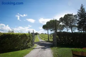 Tenuta San Filippo - Image 3