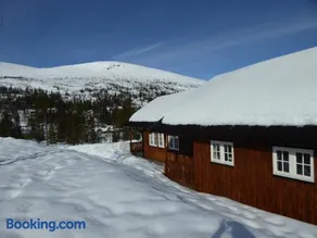 Ny hytte i flott turterreng - Image 3