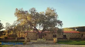 Casa Rural con skatepark y piscina " La Quijada del Lobo " - Image 4