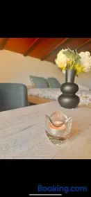 Le Cocoon Lumineux - Image 2