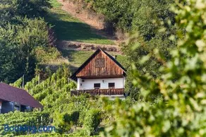 Weinberg Lodge - Kellerstöckl - Image 4