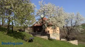 Holiday Home Vila Kikovi - Image 4