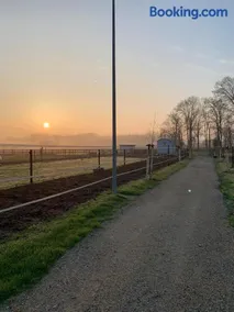 Ontwaken tussen de paarden - Image 1
