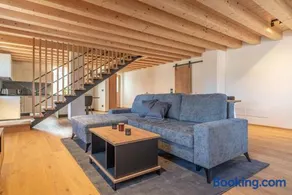 Duplex Cermis - Image 1