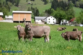 Ekološka turistična kmetija pri Lovrču - Image 1