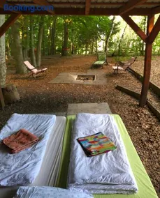 Schwedischer Shelter unter Buchen - Image 1
