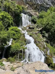 Guest House Qafe Dardha - Tomorr National Park - Image 2