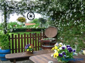 Ferienwohnungen in Semlow - Image 2