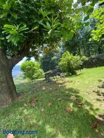 Lugar do Pombal - Image 2