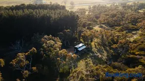 Sandy Hill Forest Tiny Home - Image 1