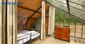Natuurslaapkamer de zaadeest boskamer - Image 3