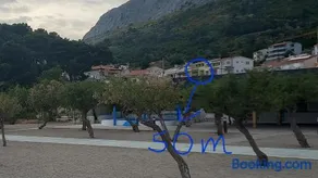 Bugenvilija - Image 3