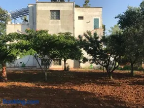 La casa di Sergio - Image 3