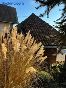 Country house Todor - Image 3