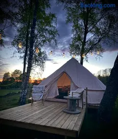 Glamping med alpackor - Image 5