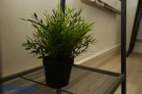 Loft Indus - Image 2