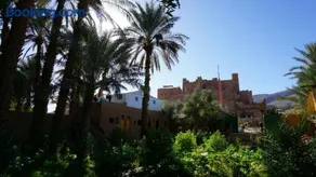 Ecolodge du Draa - Image 1