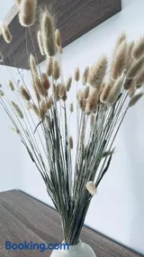 Appartement Cosy et chaleureux proche des grandes entreprises Toulousaine - Image 1