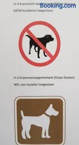 Wittegrijzeduinen - Image 3