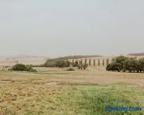 Tiny Daisy - Image 3