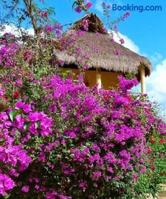 Casita de Jungle-Temascal, Pool and Chef Available - Image 3